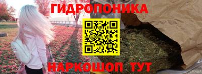 шишки Ивантеевка