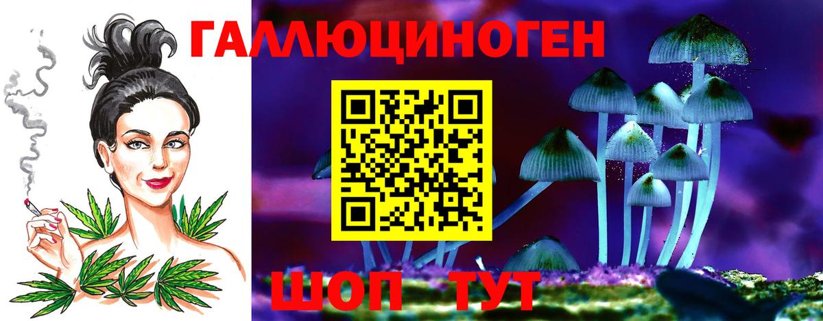 Новороссийск  Галлюциногенные грибы мухоморы  Вход с VPN  Галлюциногенные грибы мицелий 